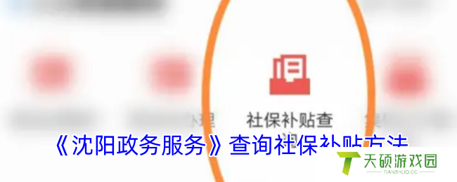 沈阳政务服务怎么查询社保补贴