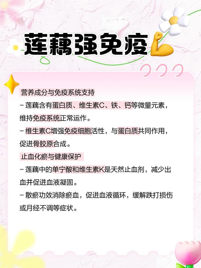 碧藕的功效与作用有哪些？这些好处要知道！