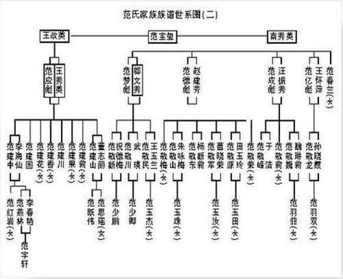 家系图怎么做？手把手教你轻松绘制你的家谱！