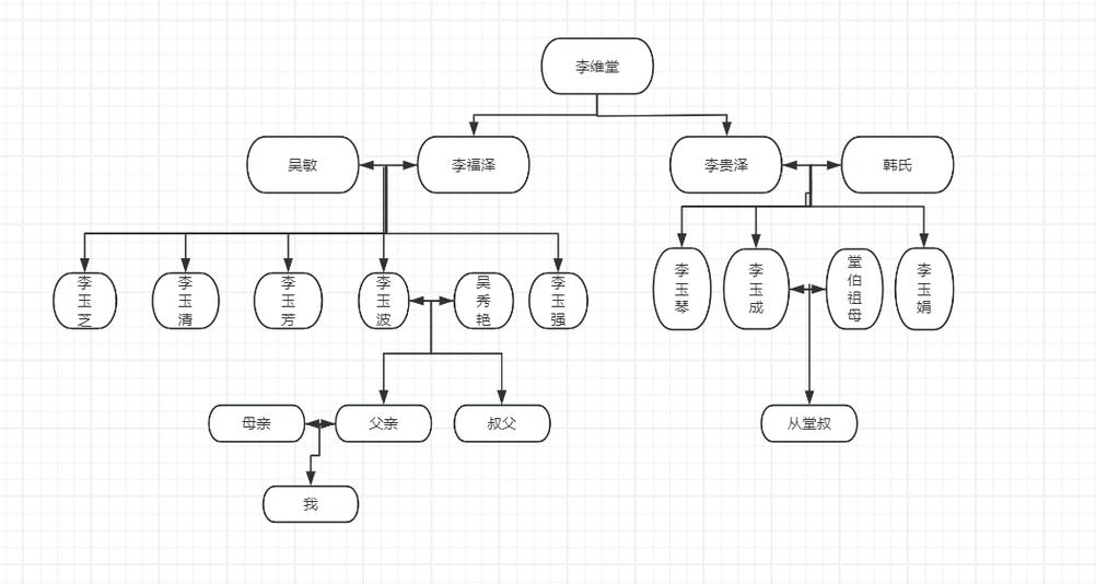 家系图怎么做？手把手教你轻松绘制你的家谱！